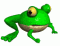 frogger's Avatar