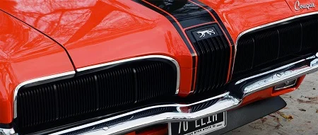 eliminator-resized.webp
