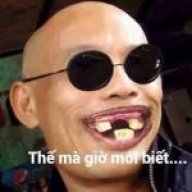 levviet
