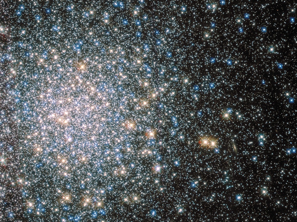 m5hst950.jpg