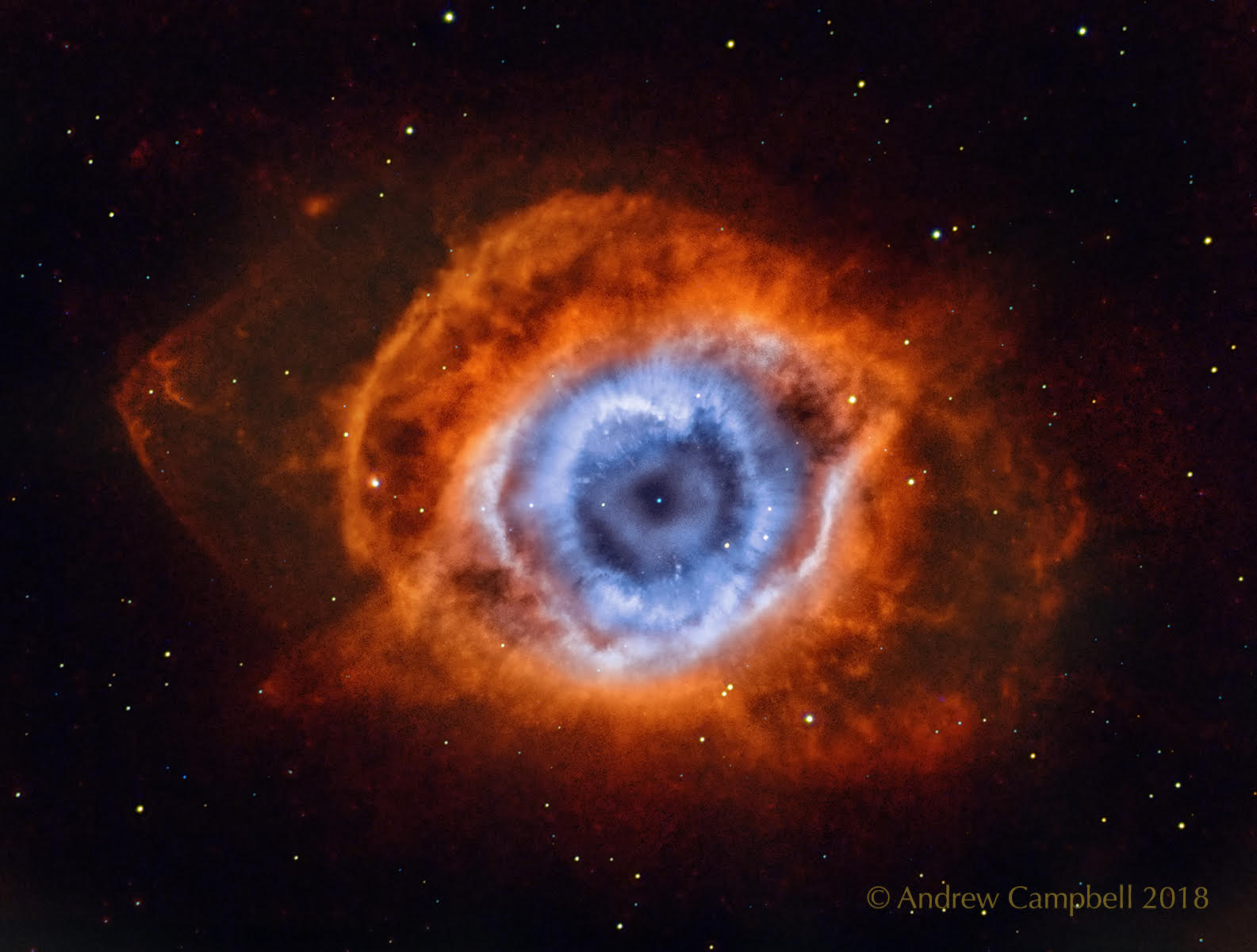 Helix_Campbell_1585.jpg