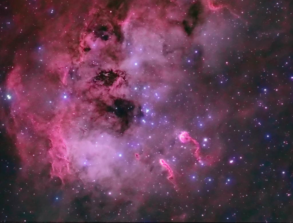 ic410tadpoles_coates1024.jpg