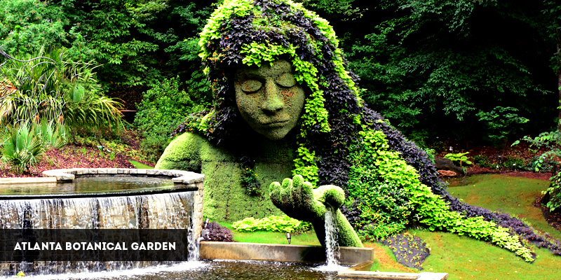 atlanta-botanical-garden.jpg