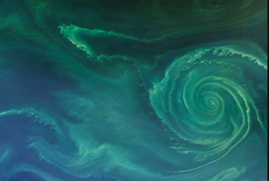 Screen-Shot-2019-03-16-at-2.51.10-PM.png