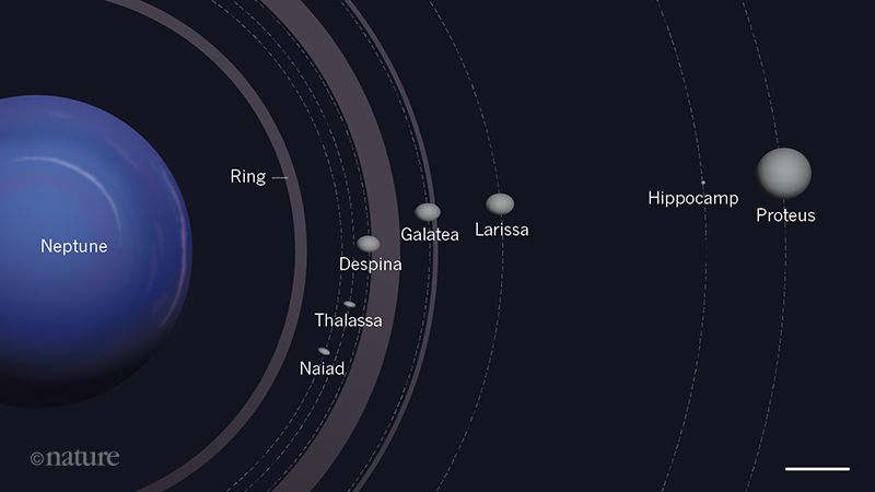 inner-moons-Neptune-Nature-2-20-2019.jpg
