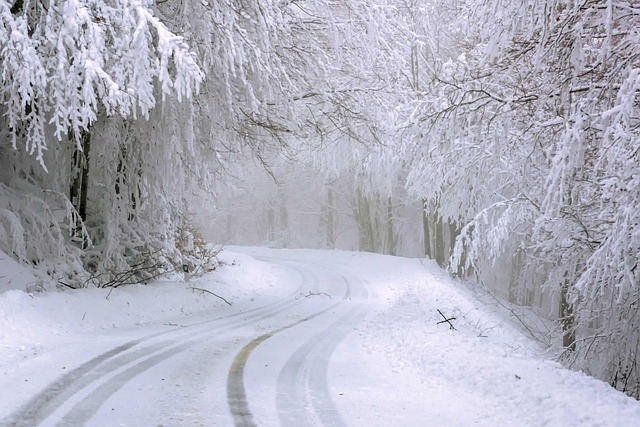 road-4730553_640.jpg