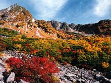 220px-Karasawa2000.JPG