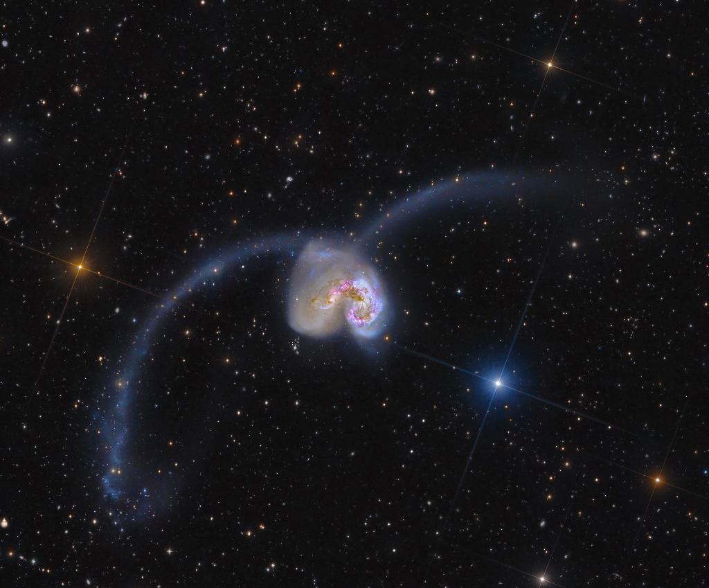 AntennaePellicciaOlsen_mark1024.jpg