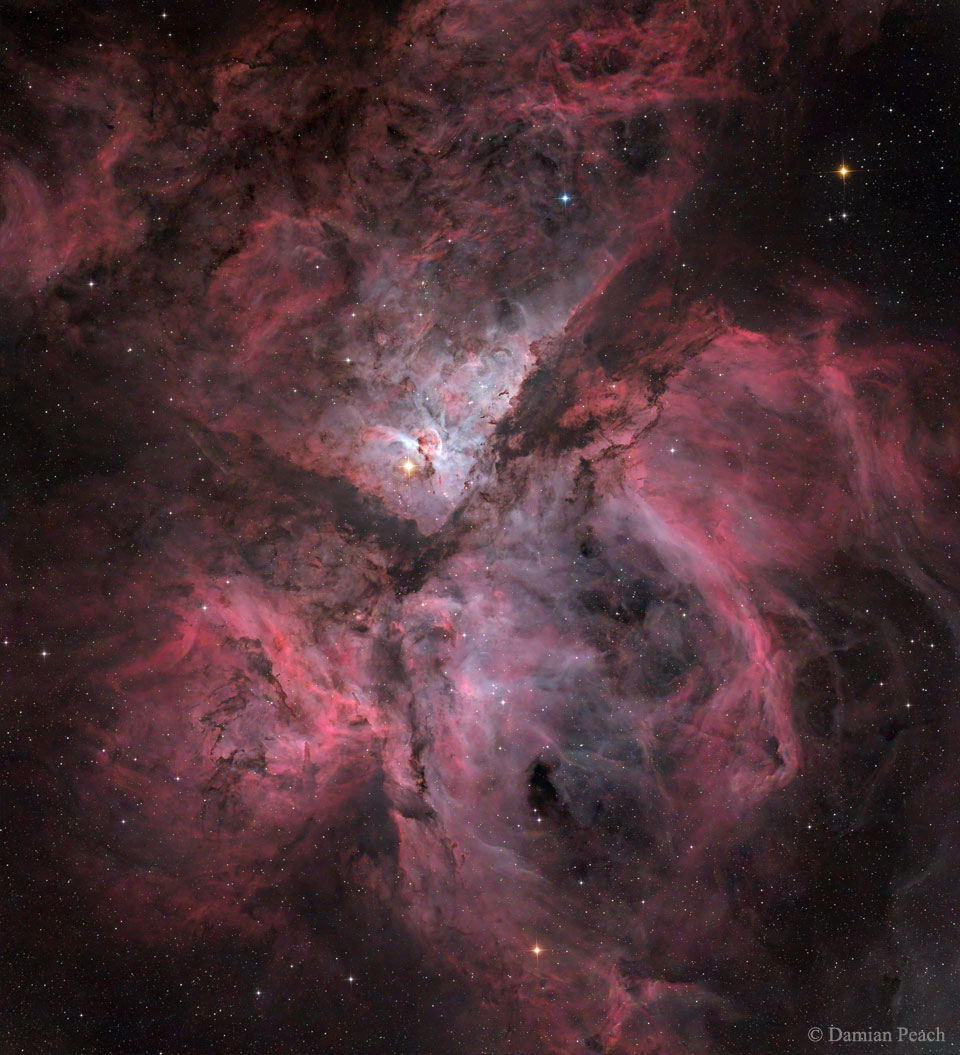 Carina_Peach_960.jpg