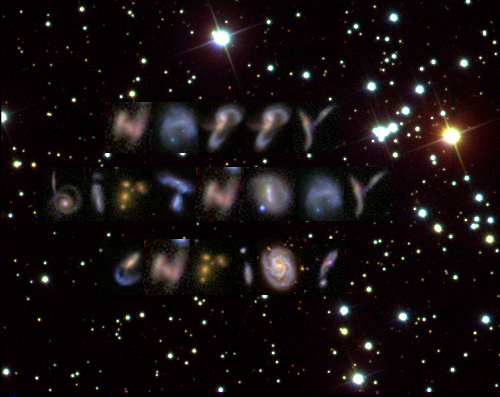 chris-card.png