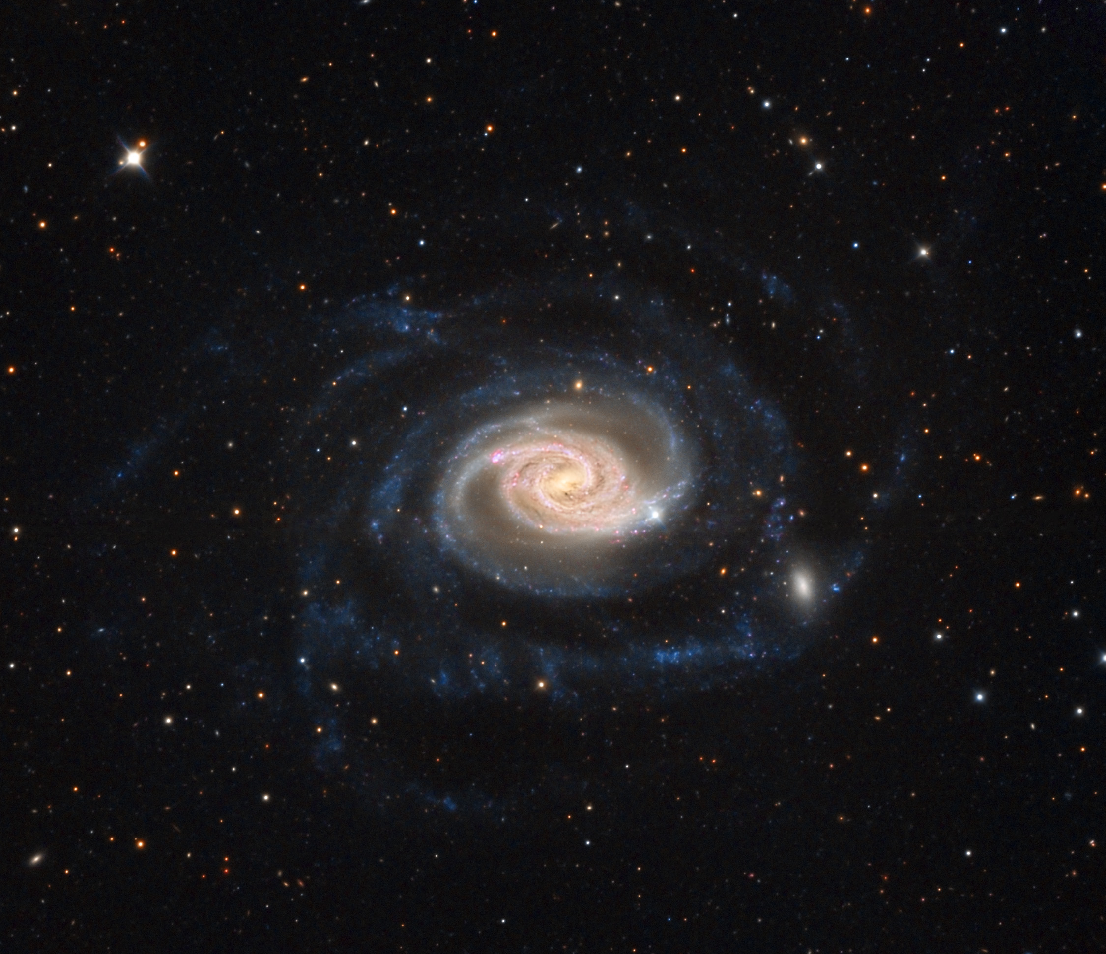 n289s.jpg