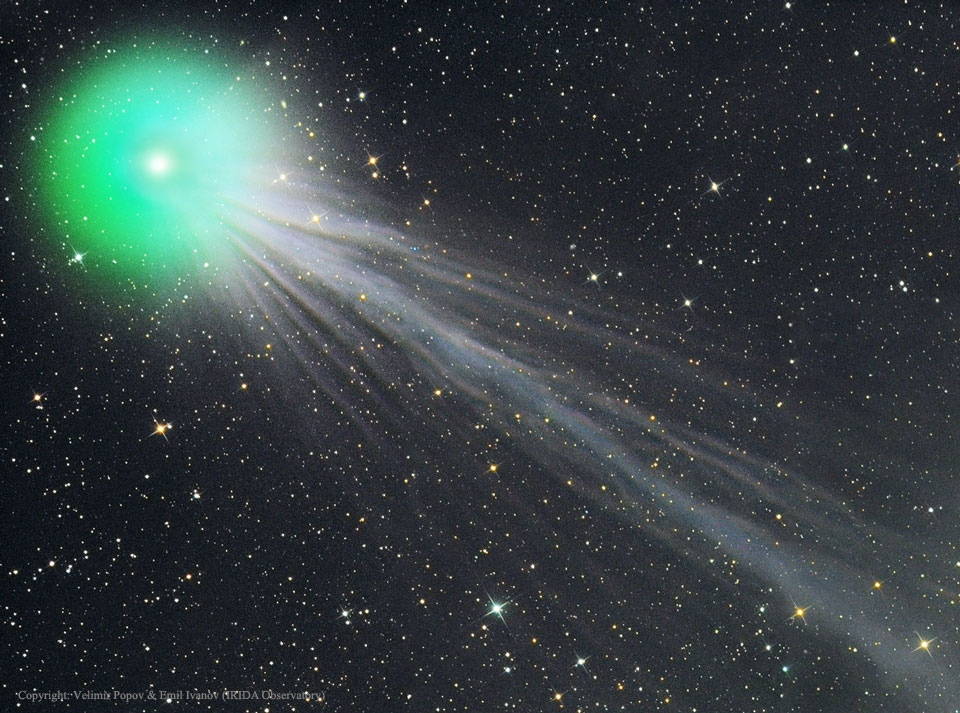 lovejoy_popov_960.jpg